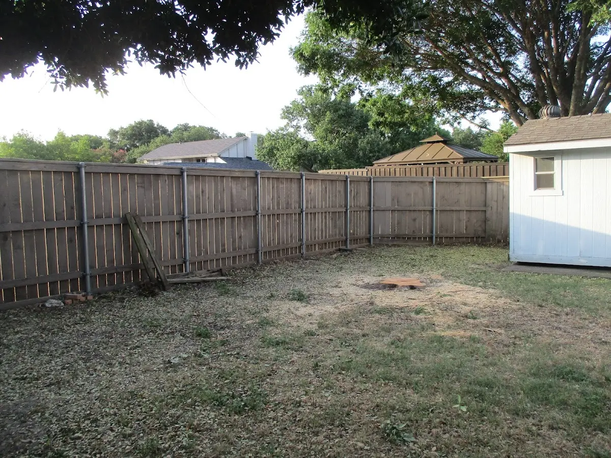 Cleared yard after professional tree removal in New Berlinville
